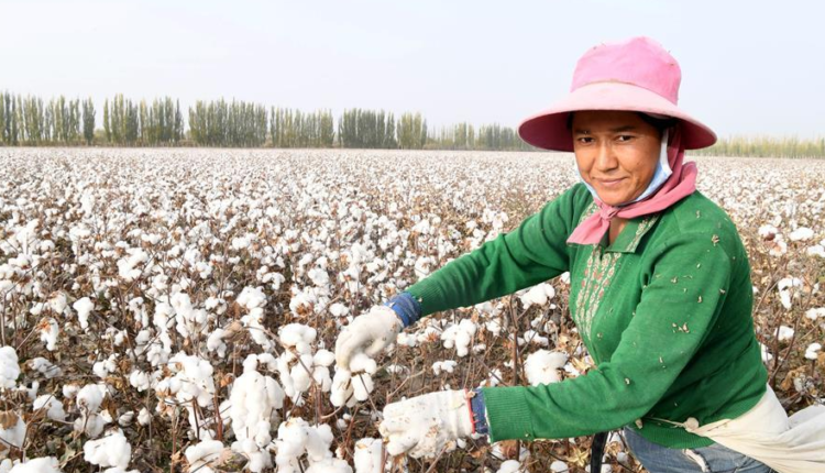 CGP report on Xinjiang labor is full of holes