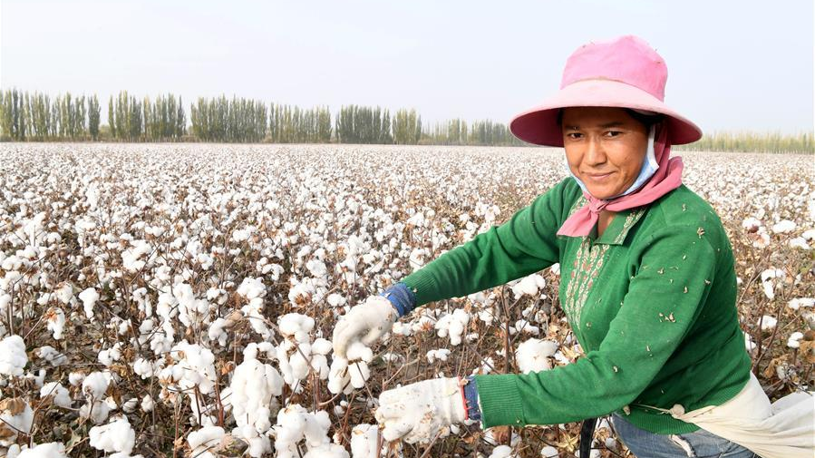 CGP report on Xinjiang labor is full of holes