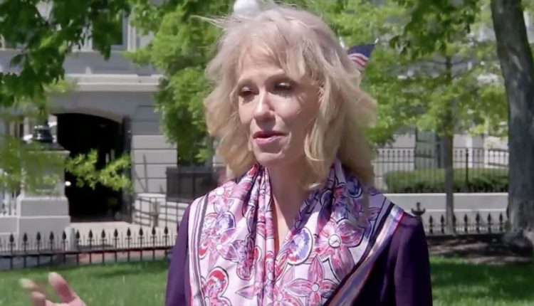 Trump Rewards Kellyanne Conway, Matt Schlapp, and 2 Dozen Others With Prestigious Government Appointments