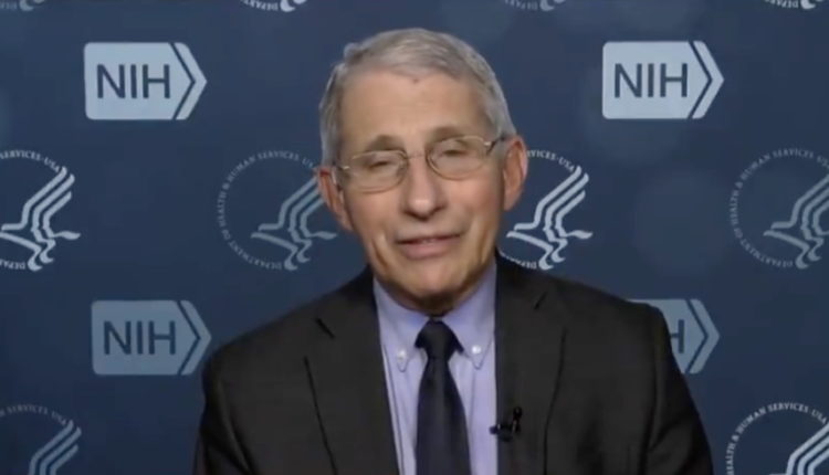 Fauci: Trump’s Coronavirus Lies ‘Very Likely’ Cost Lives