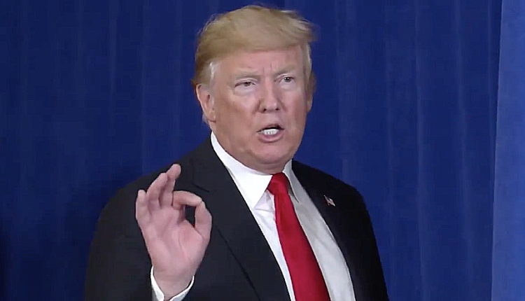 Former DHS Official Says Trump Suppressed Terrorism Warnings to Protect White Supremacists