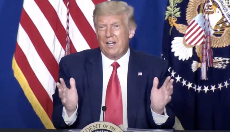 Trump-Loving Conservative Columnist Slammed for Saying President 'Improved the Lives of a Majority of Americans'