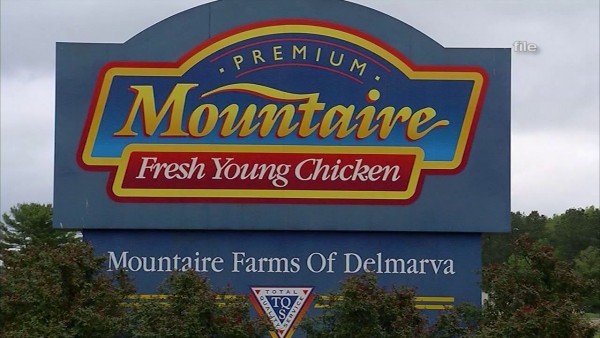 Union issues continue at Mountaire - Delaware State News