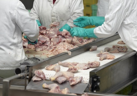 All 935 Meat Worker COVID Claims Denied, Newspaper Reports| Workers Compensation News