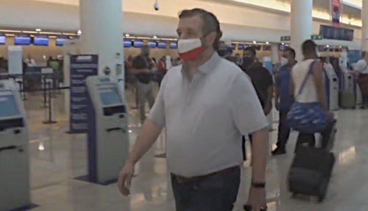 CNN Panel Buries Ted Cruz for Blaming His Kids in 'Weak Damage Control'