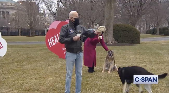 First Lady Jill Biden Serves Up a 'Valentine to the Nation' (Video)