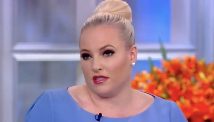 Meghan McCain Slammed for Suggesting Barbed Wire Fences Were Put Up Around Congress Because of Impeachment