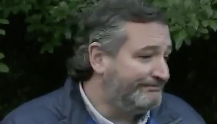 Ted Cruz 'Appears to Have Left Behind the Family Poodle' Texas Reporter Reveals After Driving to His House