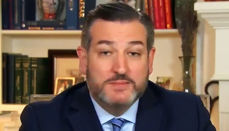 Ted Cruz and Steve Mnuchin Probed by Special Inspector General for Pandemic Recovery: Report