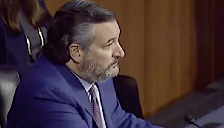 'Un-Christian Liar' Ted Cruz Pummeled for Lie Blaming Biden for Totally Non-Existent 'Ban' on Dr. Suess Books