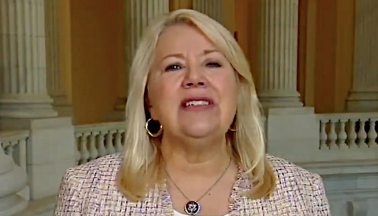 Congresswoman Slammed for Claiming Biden and Harris 'Say We’re All Racists'