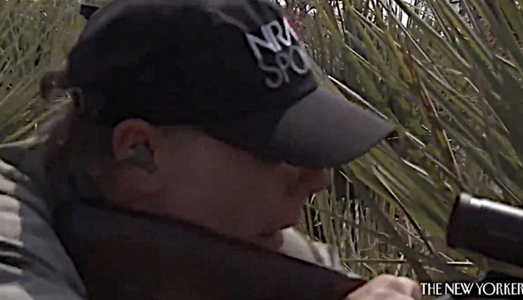 NRA Chief Wayne LaPierre Is a 'Poor Marksman' Who Went on Safari and Painfully Shot and Killed an Elephant