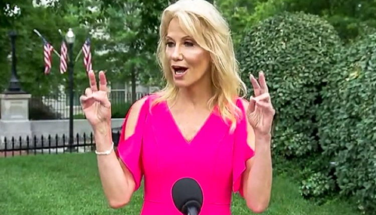 Outrage and Mockery Target Publisher Who Just Gave Kellyanne Conway a Book Deal