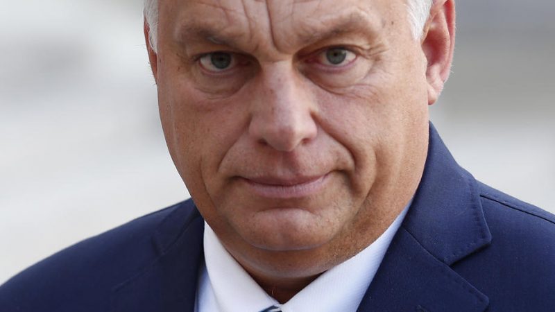 Hungary repeals NGO law but civil rights group deem replacement is unconstitutional – EURACTIV.com