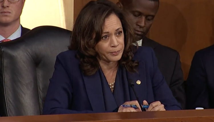 The Real Reason Fox News 'Went Crazy' With Kamala Harris's Memorial Day Weekend Tweet: NYT's Haberman