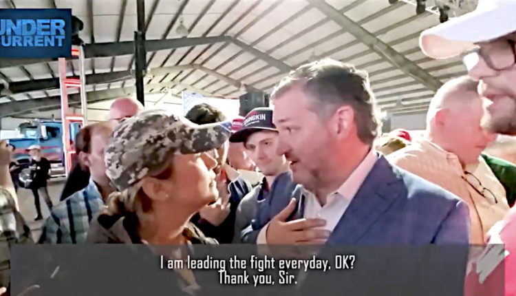 Undercover Reporter Catches Ted Cruz Bragging He 'Led the Objections' to Try to Overturn the Election