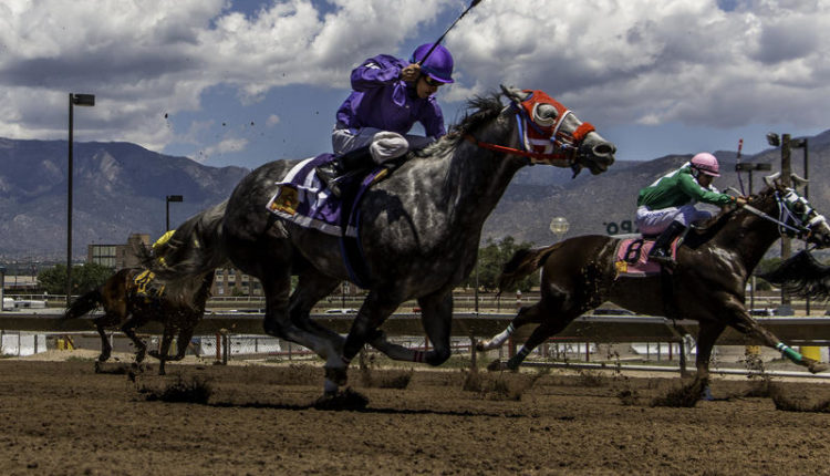 WED: Horse Owners Say New Mexico Regulators Violated Civil Rights, + More