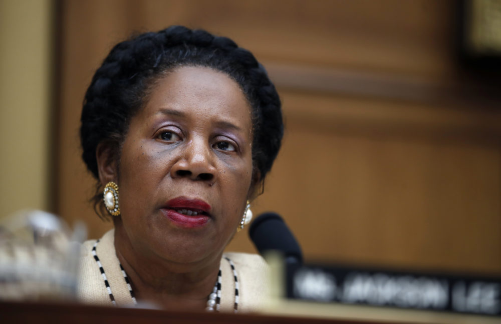 Ranking Member Rep. Sheila Jackson Lee, D-Texas, speaks during a House of Representatives Subcommittee on Crime, Terrorism, Homeland Security and Investigation hearing on Capitol Hill in Washington, Tuesday, April 4, 2017. (AP Photo / Alex Brandon)
