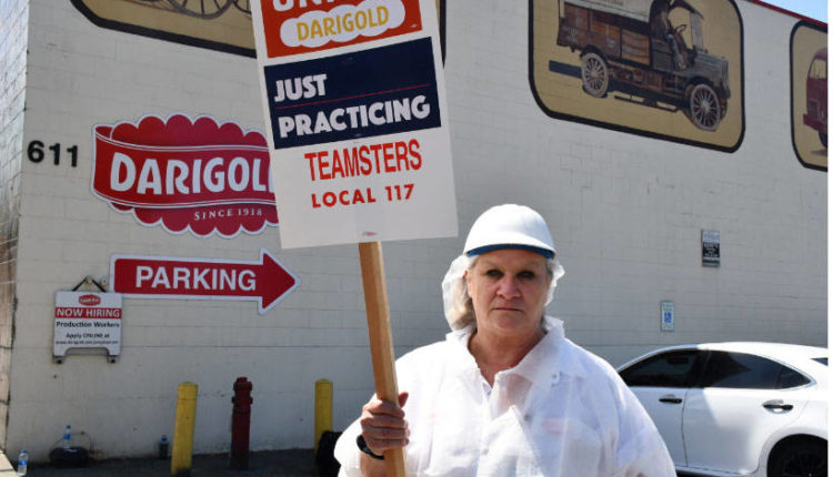 Puget Sound Darigold workers on verge of strike amid contract negotiations